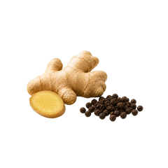 Jengibre + BioPerine